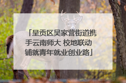 呈贡区吴家营街道携手云南师大 校地联动铺就青年就业创业路