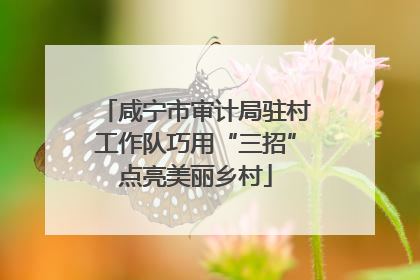 咸宁市审计局驻村工作队巧用“三招”点亮美丽乡村