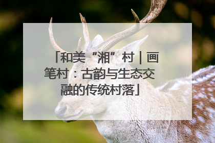 和美“湘”村｜画笔村：古韵与生态交融的传统村落
