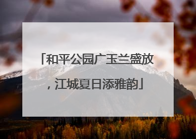 和平公园广玉兰盛放，江城夏日添雅韵