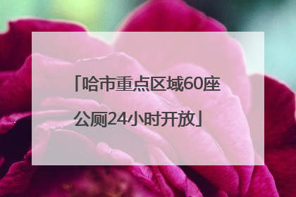 哈市重点区域60座公厕24小时开放