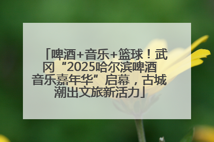啤酒+音乐+篮球！武冈“2025哈尔滨啤酒音乐嘉年华”启幕，古城潮出文旅新活力