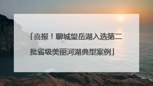 喜报！聊城望岳湖入选第二批省级美丽河湖典型案例