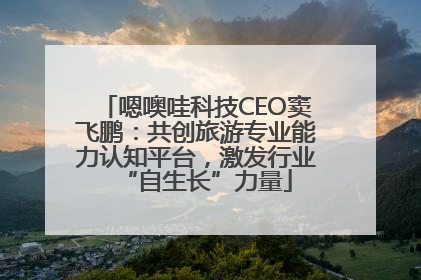 嗯噢哇科技CEO窦飞鹏：共创旅游专业能力认知平台，激发行业“自生长”力量
