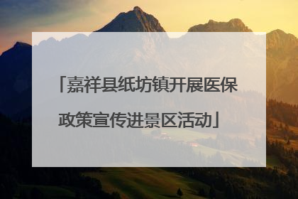 嘉祥县纸坊镇开展医保政策宣传进景区活动