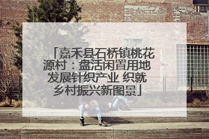 嘉禾县石桥镇桃花源村：盘活闲置用地发展针织产业 织就乡村振兴新图景