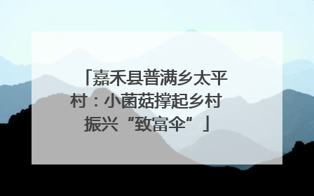 嘉禾县普满乡太平村：小菌菇撑起乡村振兴“致富伞”