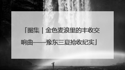 图集｜金色麦浪里的丰收交响曲——豫东三夏抢收纪实