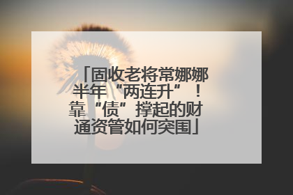 固收老将常娜娜半年“两连升”！靠“债”撑起的财通资管如何突围