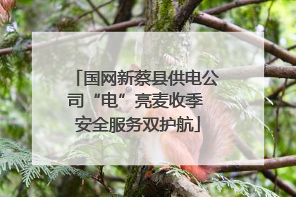 国网新蔡县供电公司“电”亮麦收季 安全服务双护航