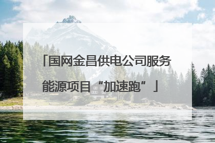 国网金昌供电公司服务能源项目“加速跑”