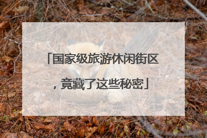 国家级旅游休闲街区，竟藏了这些秘密