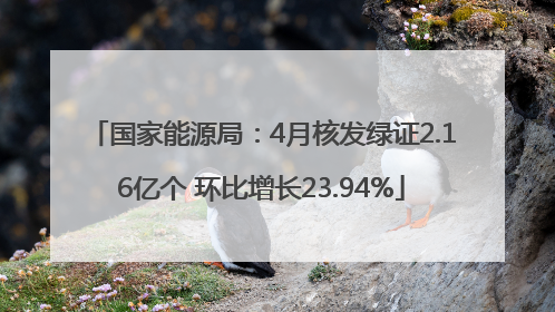 国家能源局：4月核发绿证2.16亿个 环比增长23.94%