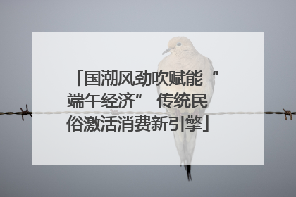 国潮风劲吹赋能“端午经济” 传统民俗激活消费新引擎
