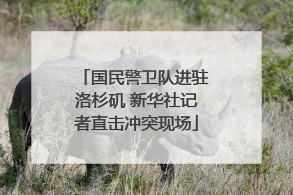国民警卫队进驻洛杉矶 新华社记者直击冲突现场