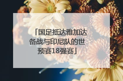 国足抵达雅加达备战与印尼队的世预赛18强赛