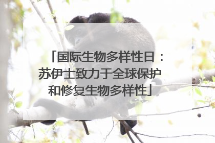 国际生物多样性日：苏伊士致力于全球保护和修复生物多样性