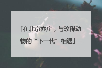 在北京亦庄，与珍稀动物的“下一代”相遇
