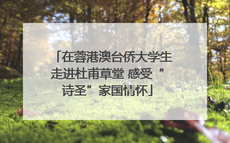 在蓉港澳台侨大学生走进杜甫草堂 感受“诗圣”家国情怀