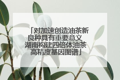 对加速创造油茶新良种具有重要意义 湖南构建四倍体油茶高精度基因图谱