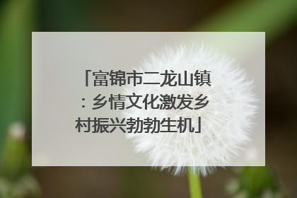富锦市二龙山镇：乡情文化激发乡村振兴勃勃生机