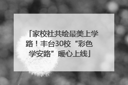 家校社共绘最美上学路！丰台30校“彩色学安路”暖心上线