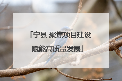 宁县 聚焦项目建设 赋能高质量发展