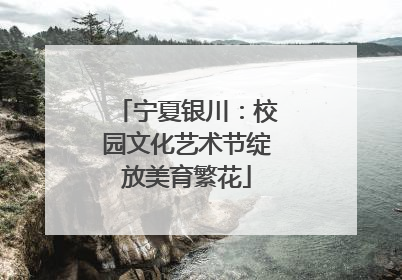宁夏银川：校园文化艺术节绽放美育繁花