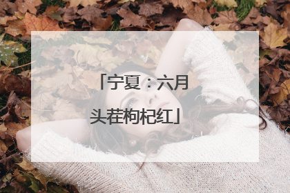 宁夏：六月头茬枸杞红