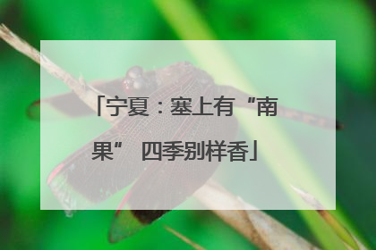 宁夏：塞上有“南果” 四季别样香