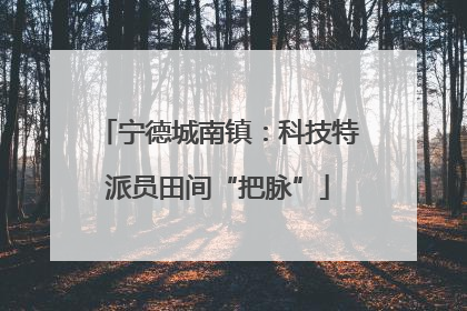 宁德城南镇：科技特派员田间“把脉”