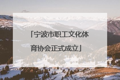 宁波市职工文化体育协会正式成立