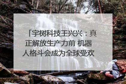 宇树科技王兴兴：真正解放生产力前 机器人格斗会成为全球受欢迎的赛事｜科技观察