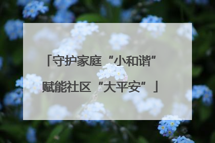 守护家庭“小和谐” 赋能社区“大平安”