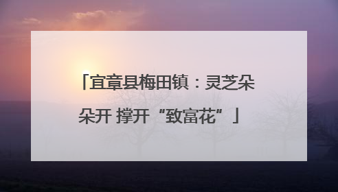 宜章县梅田镇：灵芝朵朵开 撑开“致富花”
