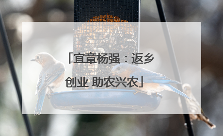 宜章杨强：返乡创业 助农兴农