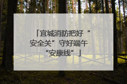 宜城消防把好“安全关”守好端午“安康线”