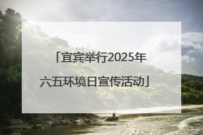 宜宾举行2025年六五环境日宣传活动