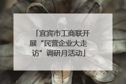 宜宾市工商联开展“民营企业大走访”调研月活动