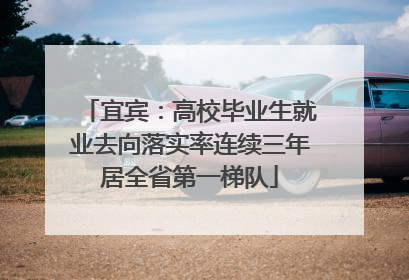 宜宾：高校毕业生就业去向落实率连续三年居全省第一梯队
