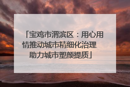 宝鸡市渭滨区：用心用情推动城市精细化治理 助力城市塑颜提质