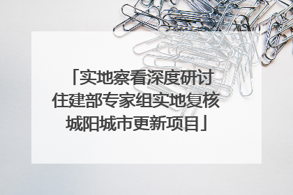 实地察看深度研讨 住建部专家组实地复核城阳城市更新项目