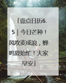 壹点日历6.5｜今日芒种！风吹麦成浪，蝉鸣夏始忙！大家早安
