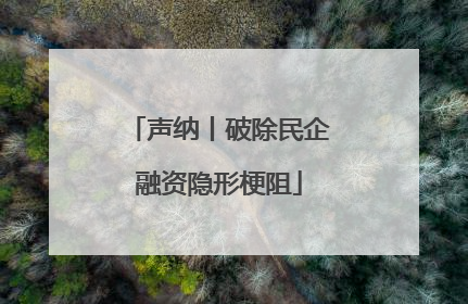 声纳丨破除民企融资隐形梗阻