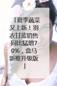 夏季蔬菜又上新！羽衣甘蓝销售同比猛增70%，盒马新推升级版
