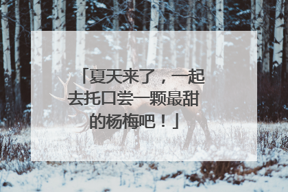 夏天来了，一起去托口尝一颗最甜的杨梅吧！