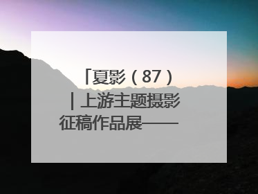 夏影（87）｜上游主题摄影征稿作品展——周社根作品