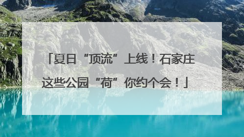夏日“顶流”上线！石家庄这些公园“荷”你约个会！