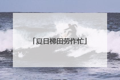 夏日梯田劳作忙