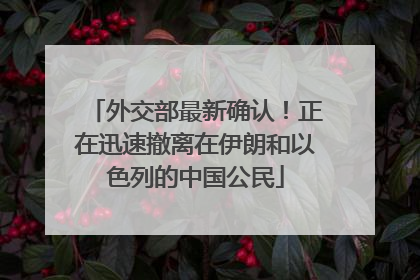 外交部最新确认！正在迅速撤离在伊朗和以色列的中国公民